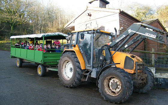 A yellow and black tractor pulling a green trailer