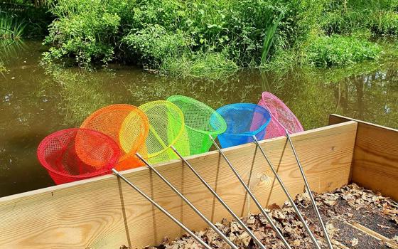 A vibrant collection of fishing nets arranged on a dock, ready for use during the pond dipping workshop