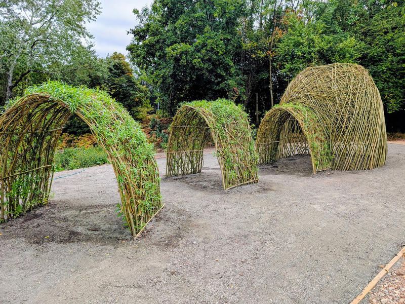 Willow structures