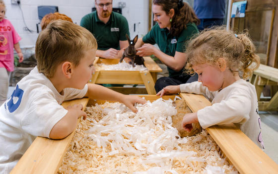 Children with a guinea pig in Cuddle Corner