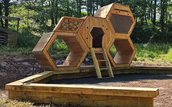 Wooden outdoor activity equipment at The Dell